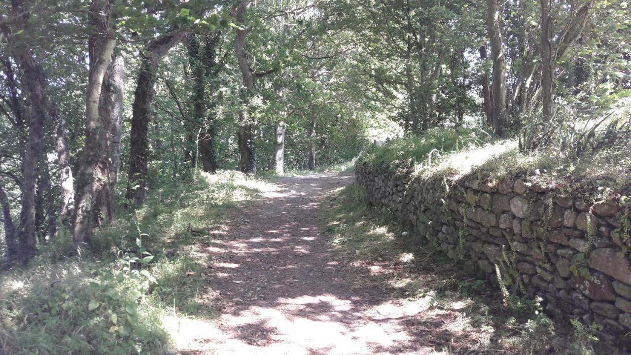 Au Guildo, Proche Gr34 Βίλα Notre-Dame-du-Guildo Εξωτερικό φωτογραφία